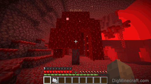 how to grow a crimson forest tree