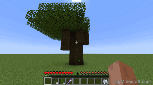 how to grow a dark oak tree