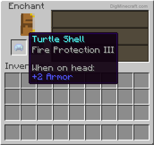 Completed enchanted turtle shell