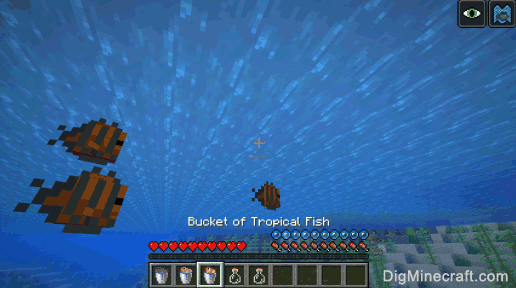 How to make a Bucket of Tropical Fish in Minecraft