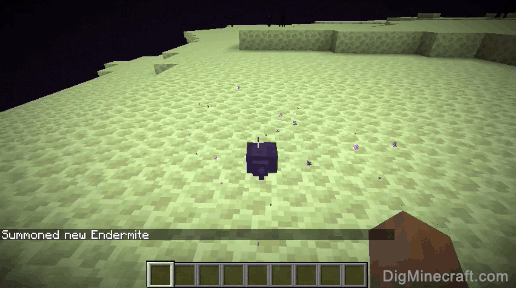 completed summon endermite