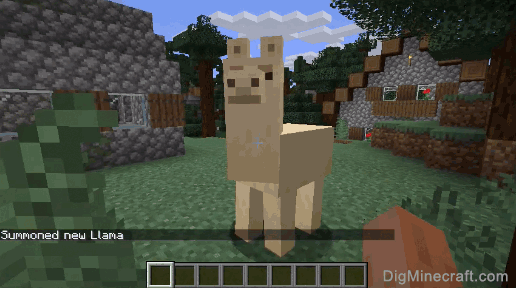 completed summon llama