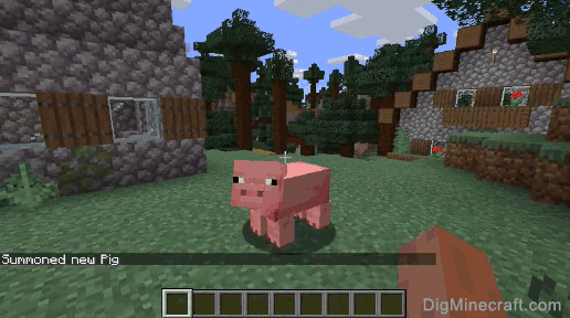 completed summon pig