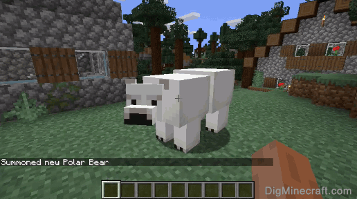 How To Summon A Polar Bear In Minecraft