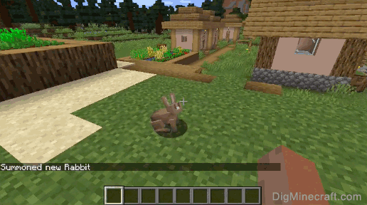 completed summon rabbit