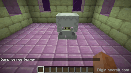 completed summon shulker