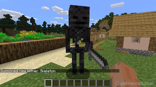 completed summon wither skeleton