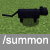 summon black cat