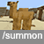 summon camel