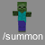 use summon command