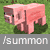 summon pig