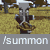 summon pillager