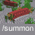 summon salmon
