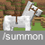 summon tame horse