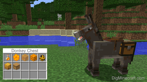 summon donkey generator