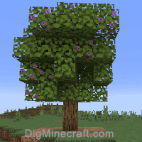 azalea tree