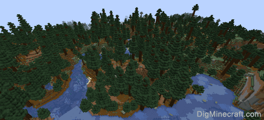 Giant Spruce Taiga In Minecraft