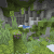 lush caves seeds for bedrock edition