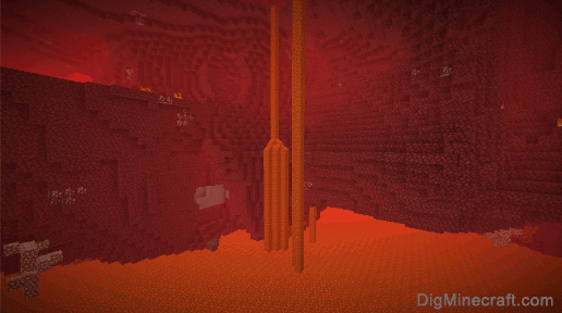 nether biome