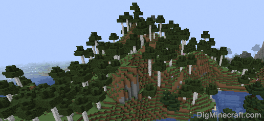 tall birch forest biome