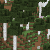 old growth birch forest seeds for bedrock edition