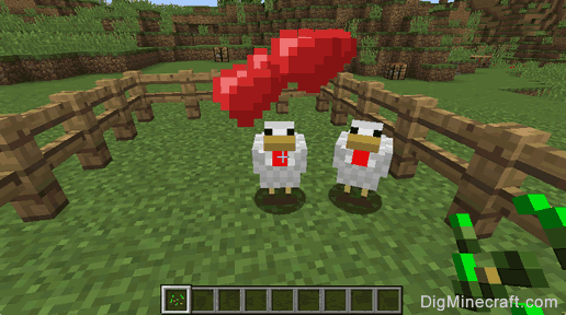 How Do You Breed Chickens In Minecraft