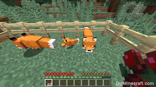 How to Breed Foxes in Minecraft