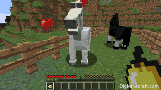 How To Breed Horses In Minecraft