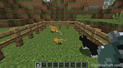 how to breed ocelots