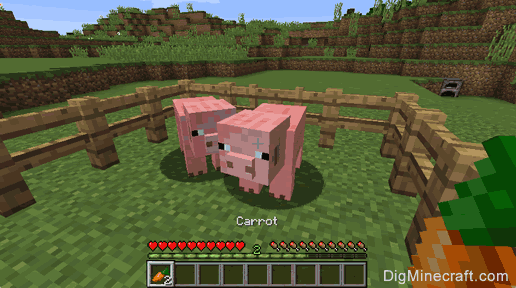 How to Breed Pigs in Minecraft