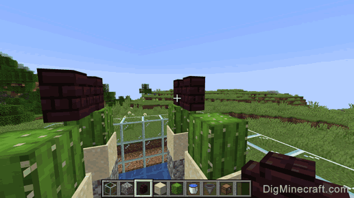 how to build cactus farm