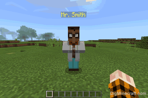 apologize sanity check How to Change the Appearance of the NPC in Minecraft