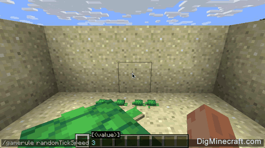 How To Hatch Turtle Eggs In Minecraft