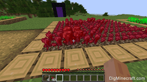 how to make nether wart farm