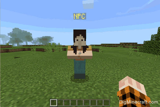 How To Change The Name Of The Npc In Minecraft