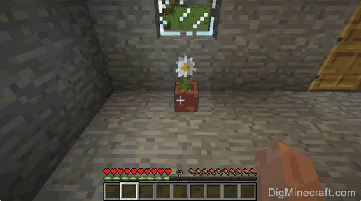how to use flower pot