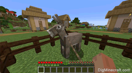 how to use lead on donkey