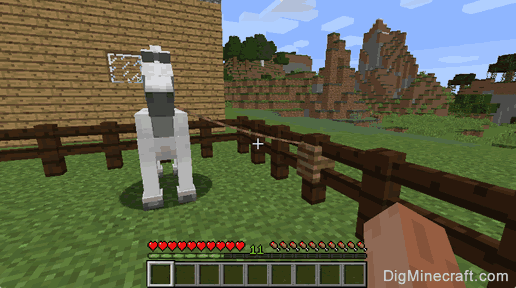 How to Use a Lead on a Horse in Minecraft