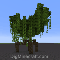 мангрове дерево