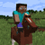 tame and ride horse