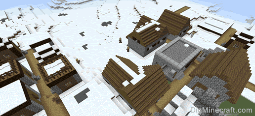 village in snowy tundra biome