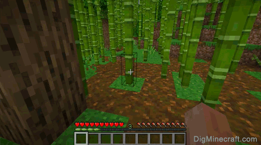 How To Make Bamboo In Minecraft