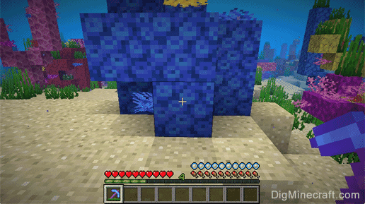 tube coral block with pickaxe