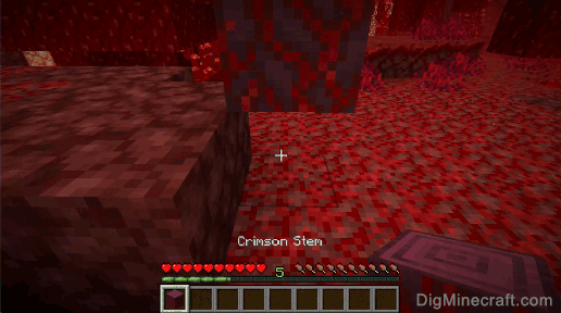 crimson stem gathered