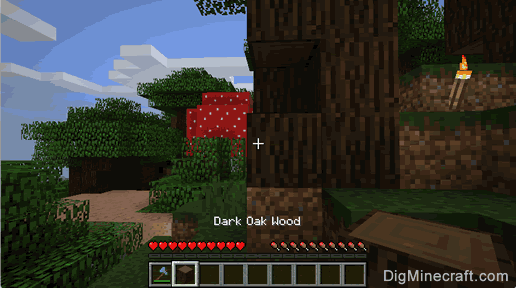 dark oak log gathered