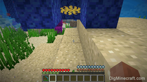 dead tube coral block dropped