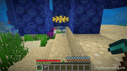 dead tube coral block gathered