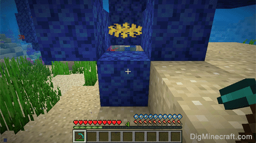 dead tube coral block with pickaxe