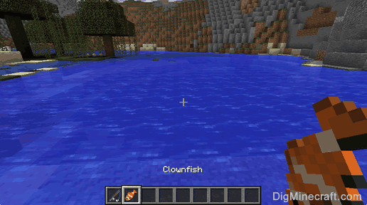 how to clownfish