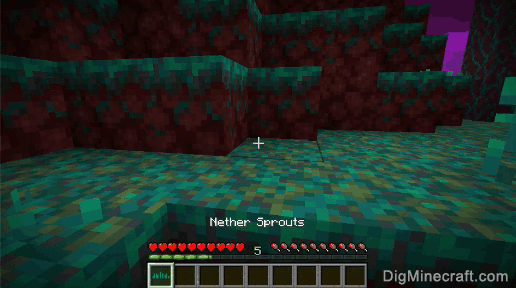 nether sprouts gathered
